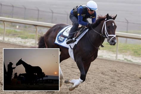 Belmont Stakes 2023 predictions, odds, best bets: Expert picks for win.